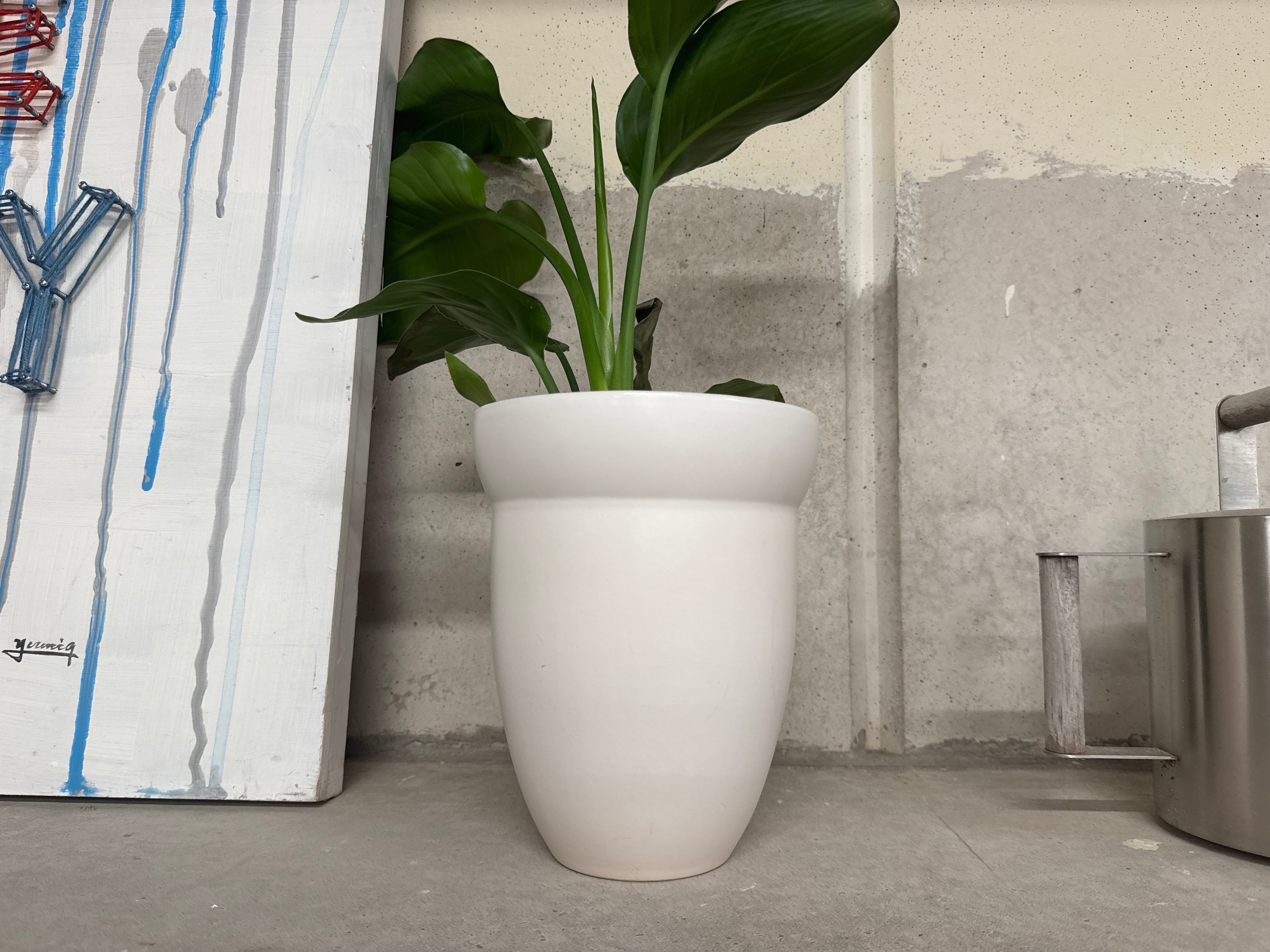 Pot wit met plant groen