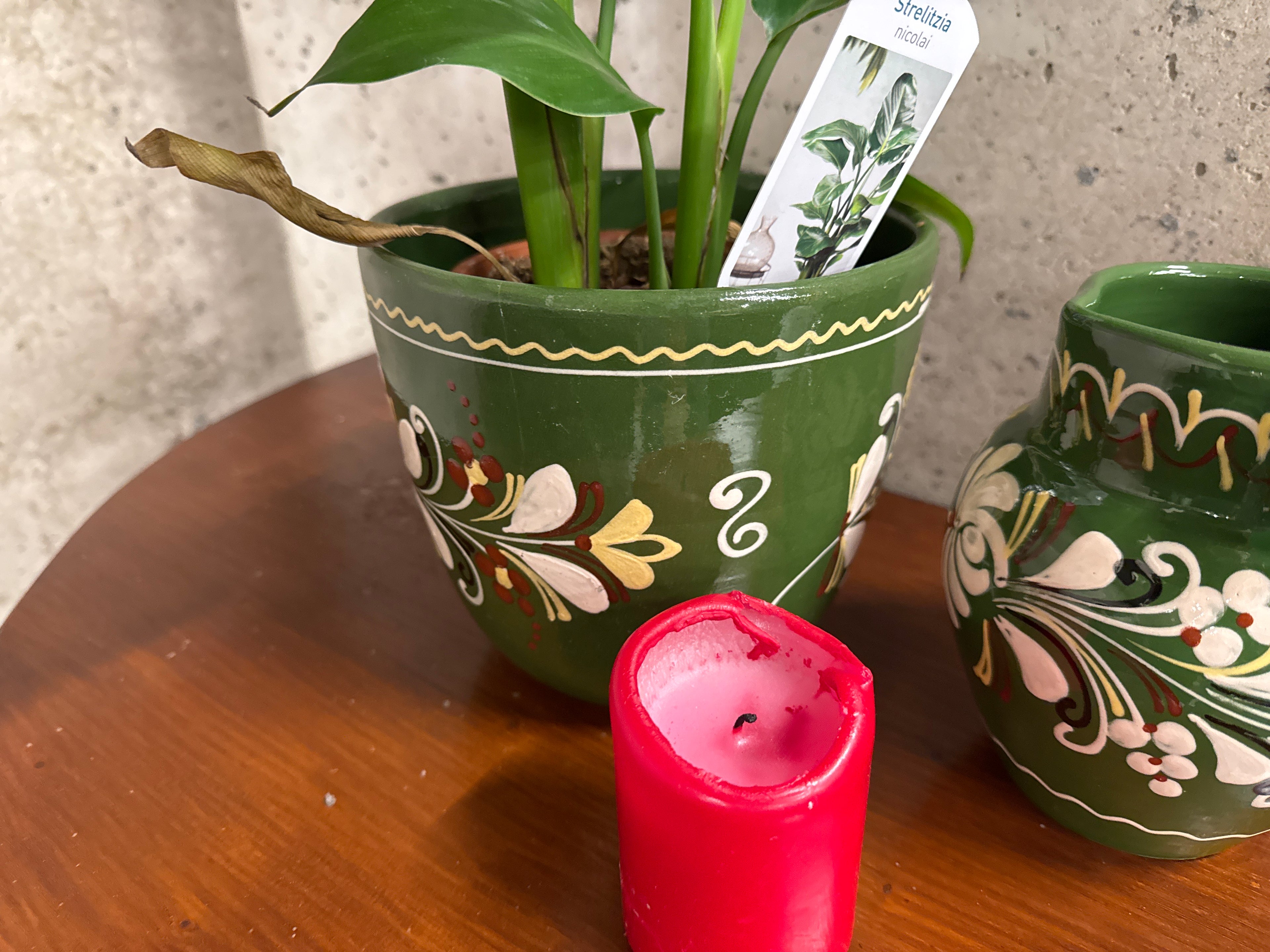 Groene Pot met Plant