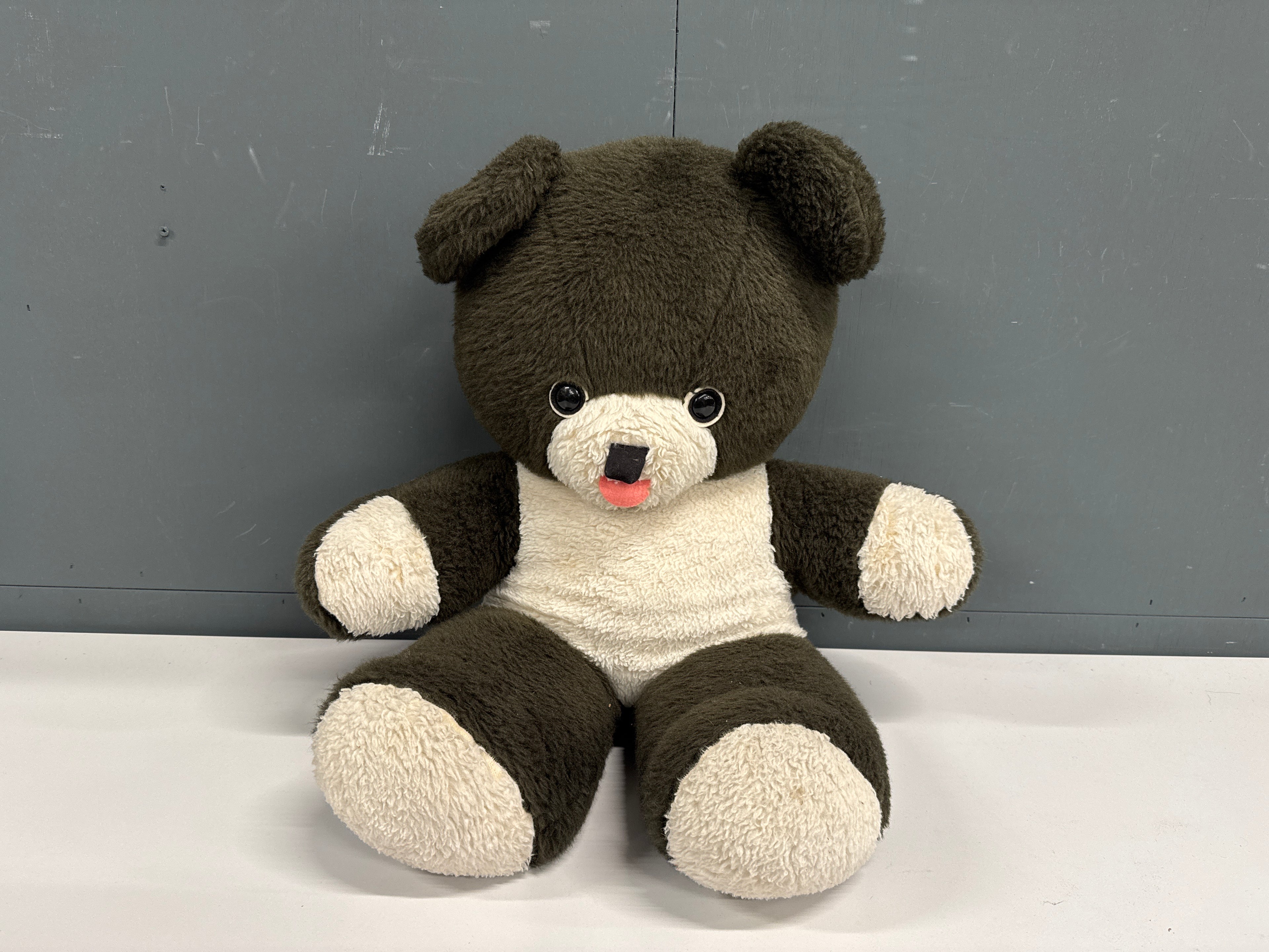 Beer groot twee kleuren