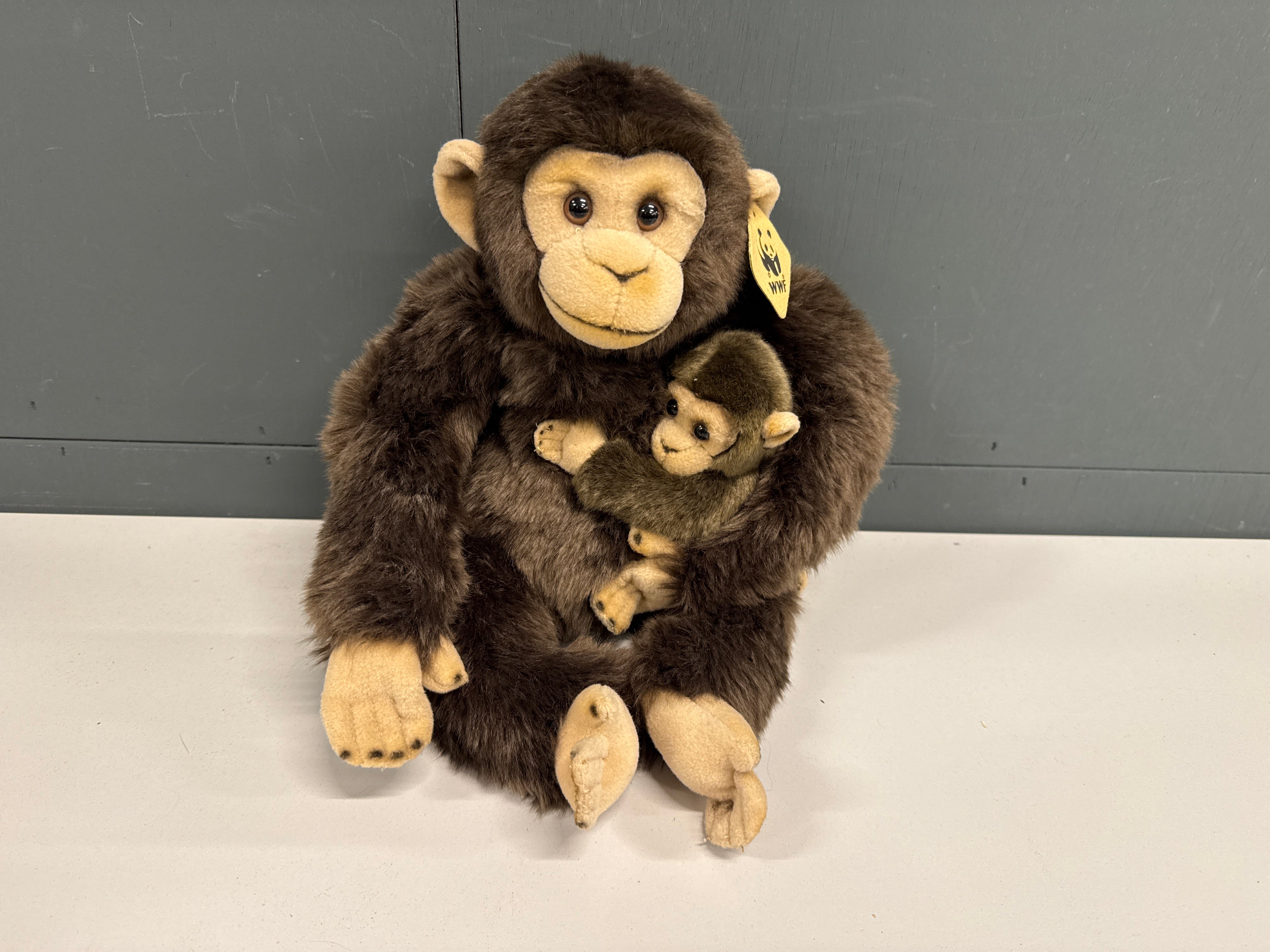 Moeder aap met jong WWF