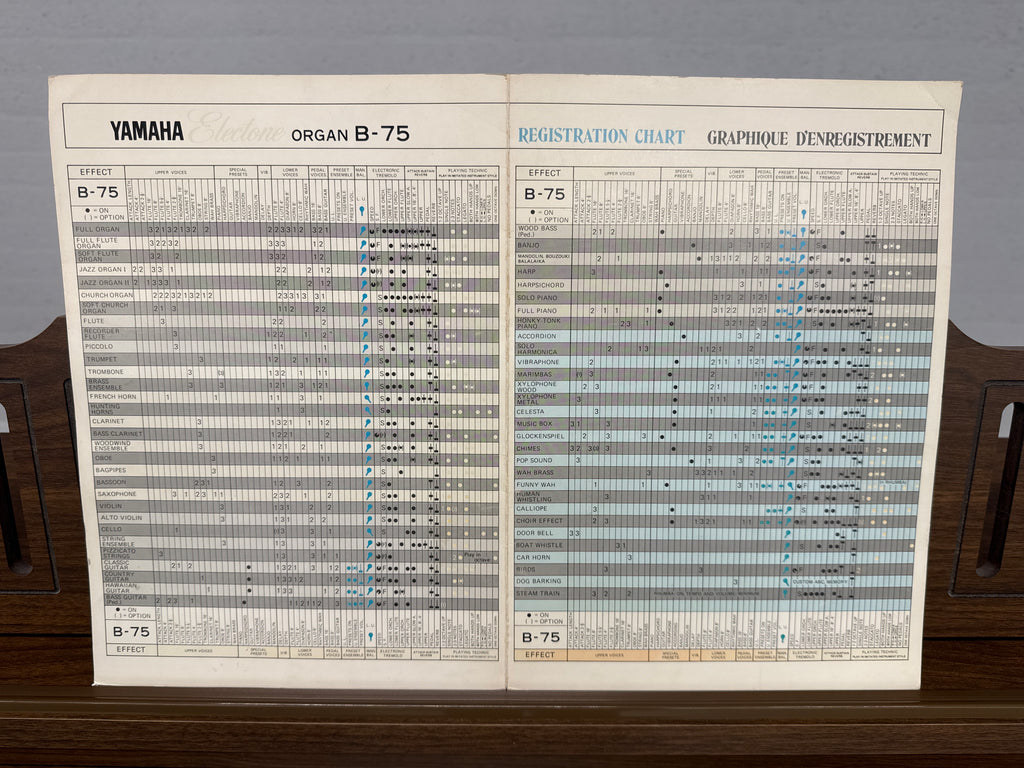 Yamaha Electone orgel izgst
