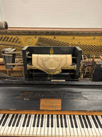 Steck “pianola” piano