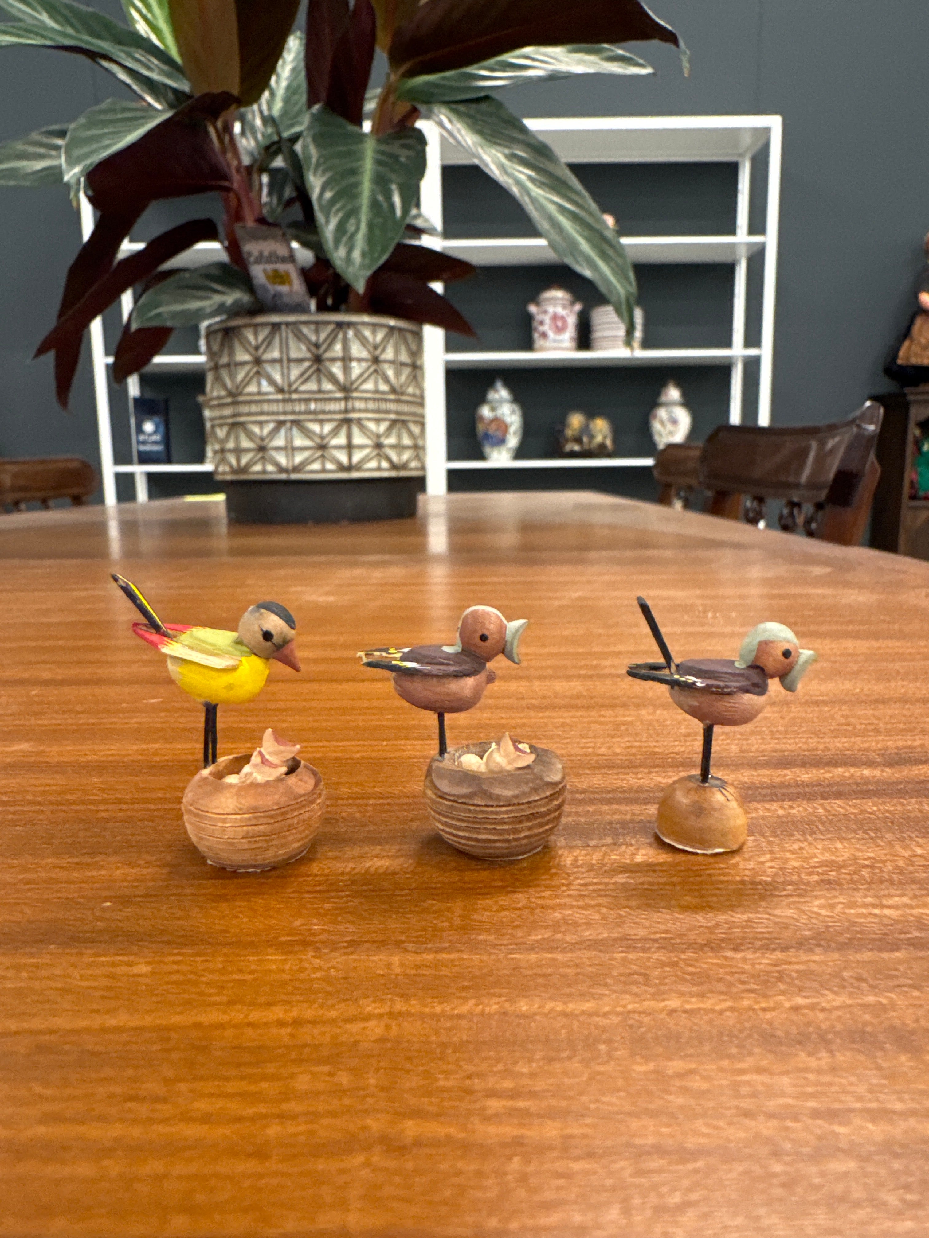 Miniatuurvogels WS Dittman