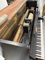 Steck “pianola” piano