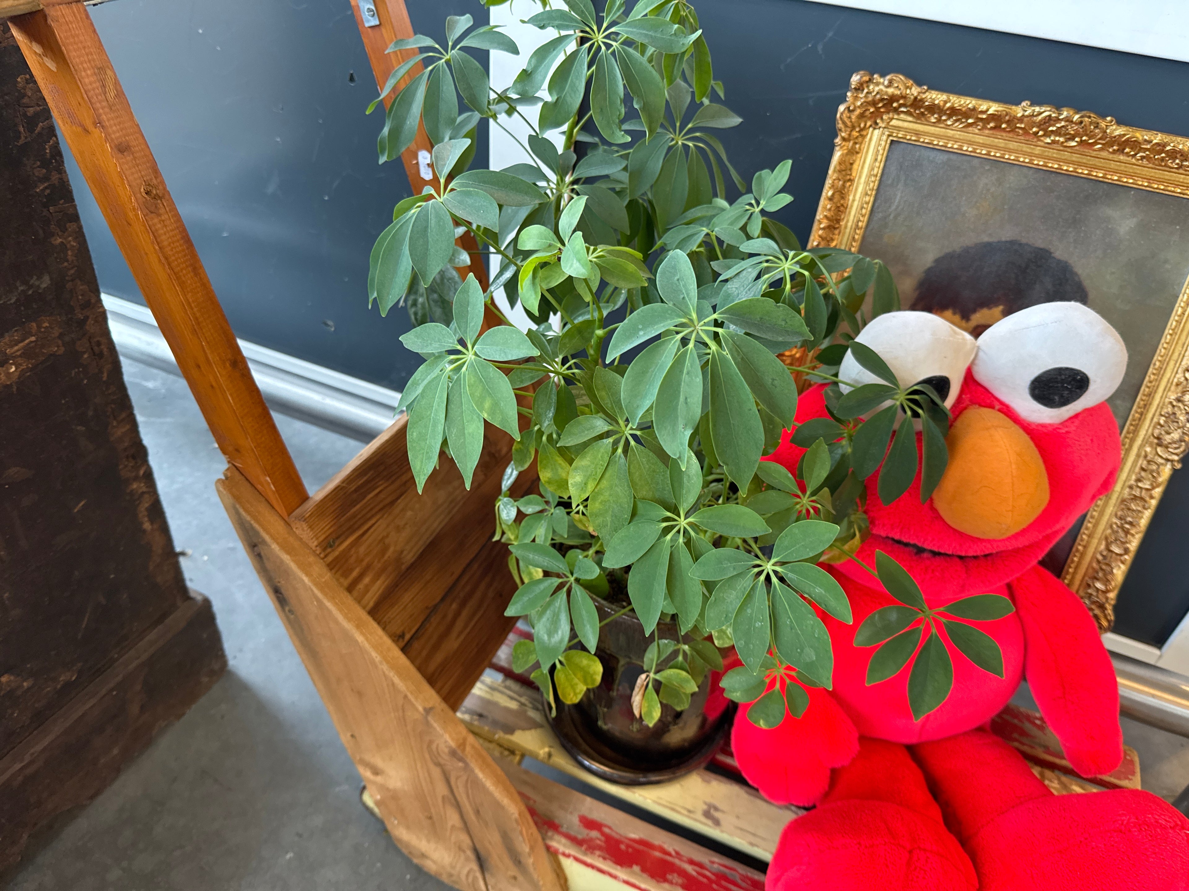 Plant pot zwart