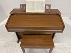 Yamaha Electone orgel izgst