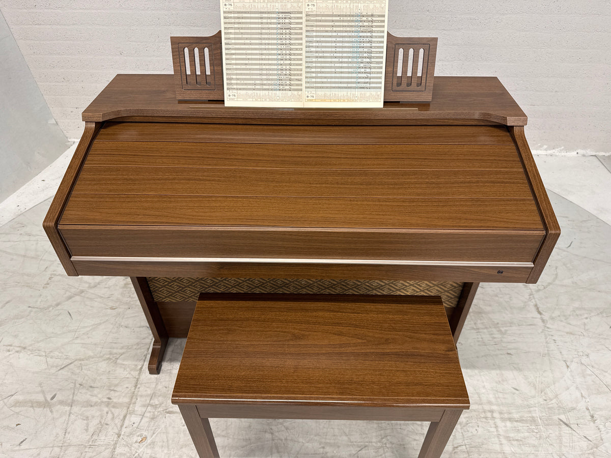 Yamaha Electone orgel izgst