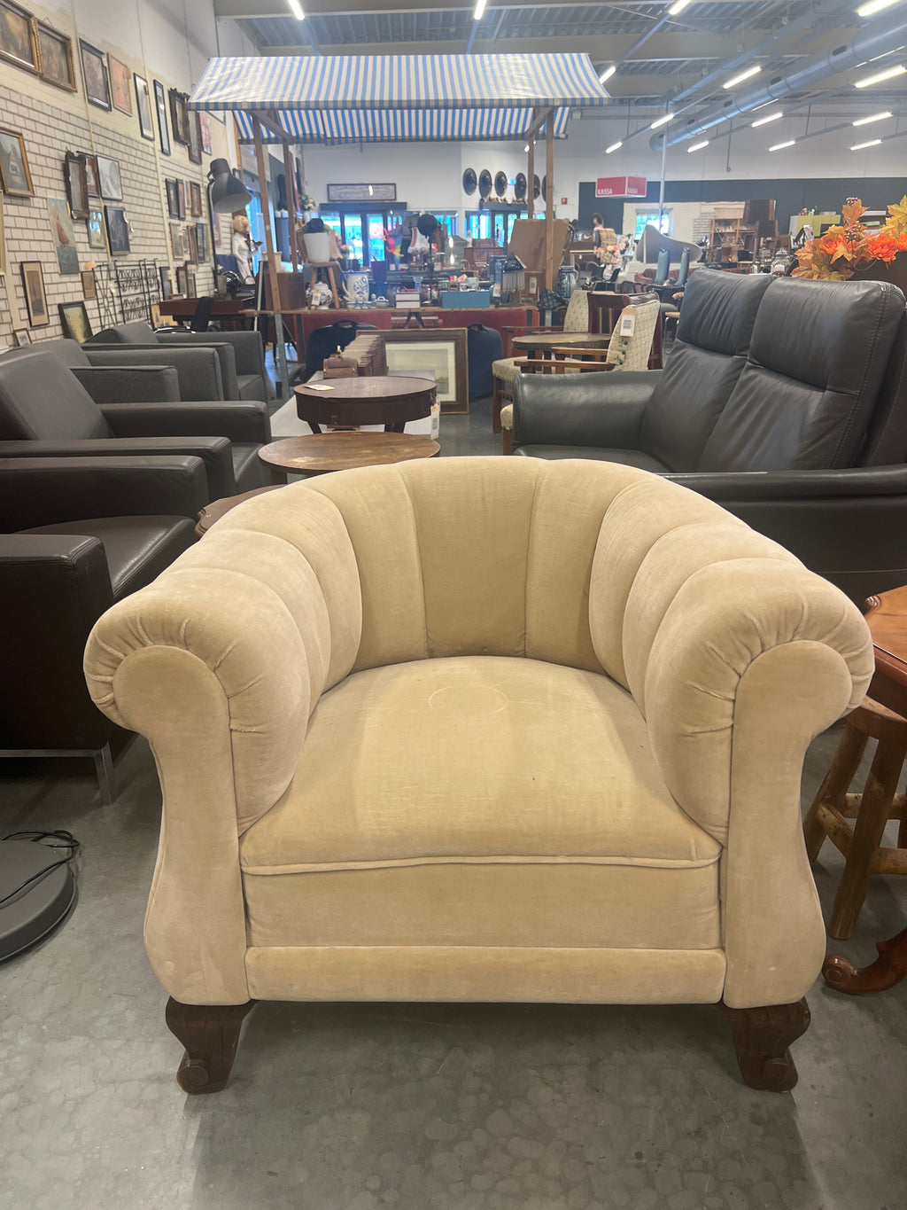 Set elegante velvet fauteuils