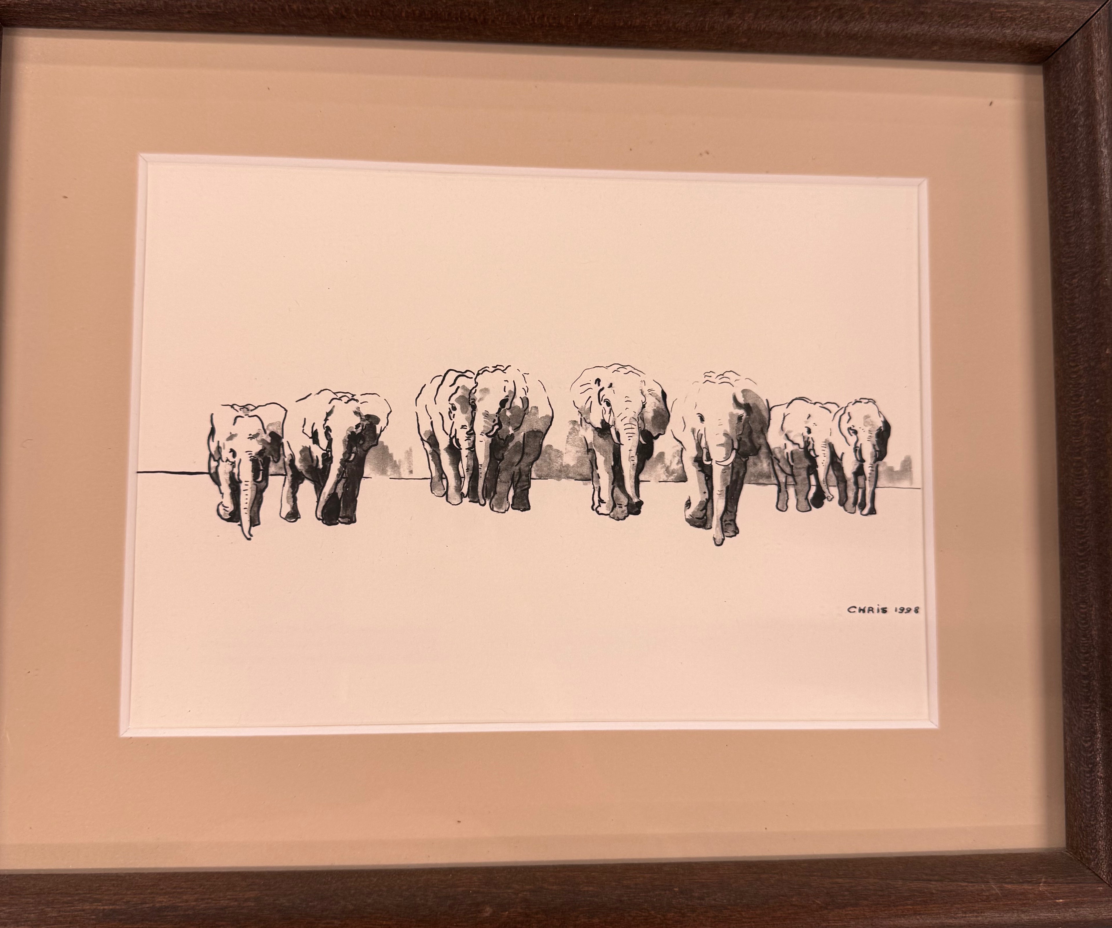 Tekening Zuid Afrika