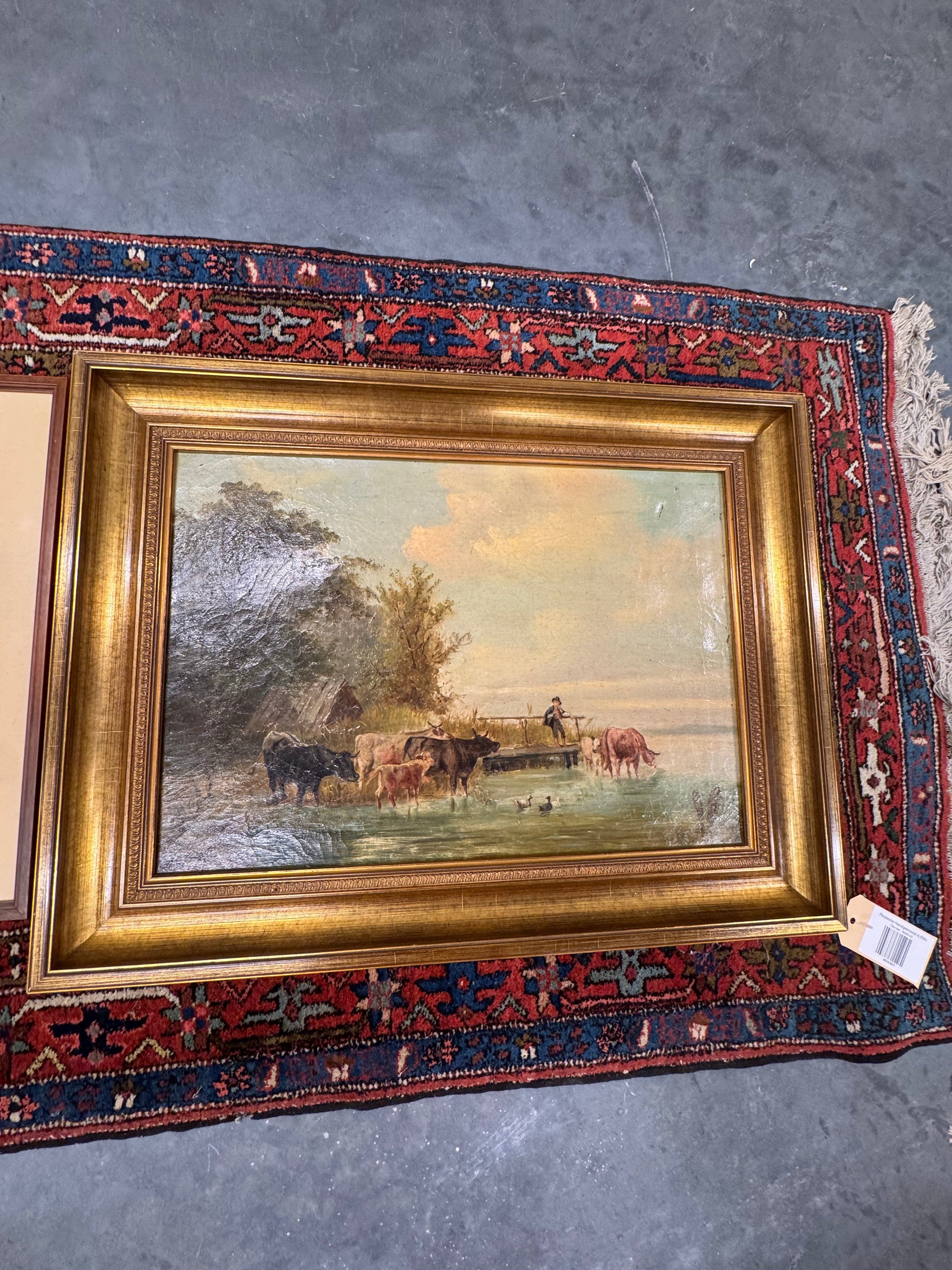 Koeien in de rivier gesigneerd