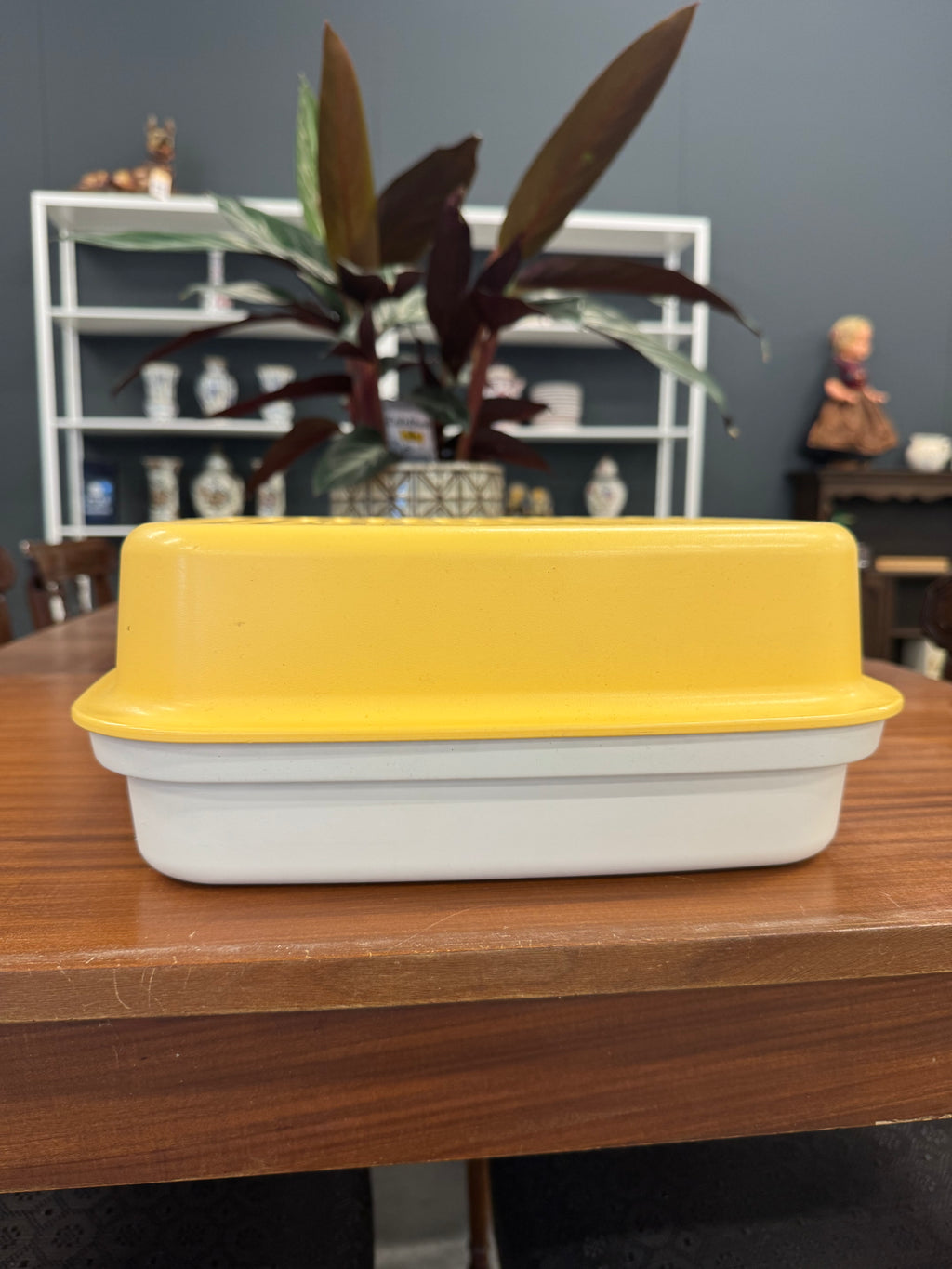 Tupperware xl vintage