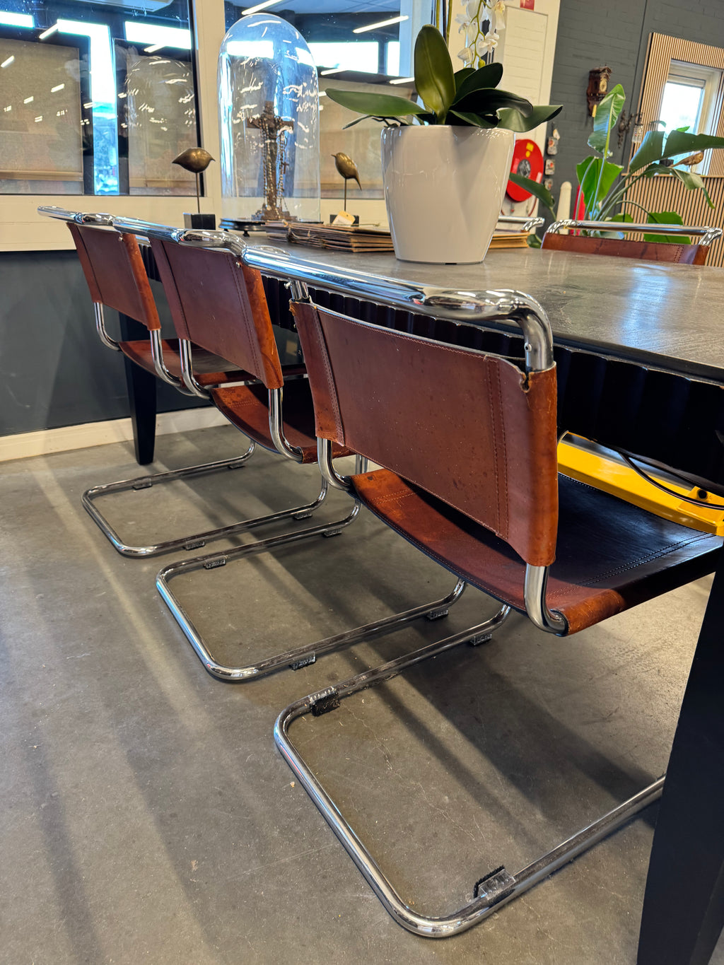 Eetkamerstoelen tuigleer