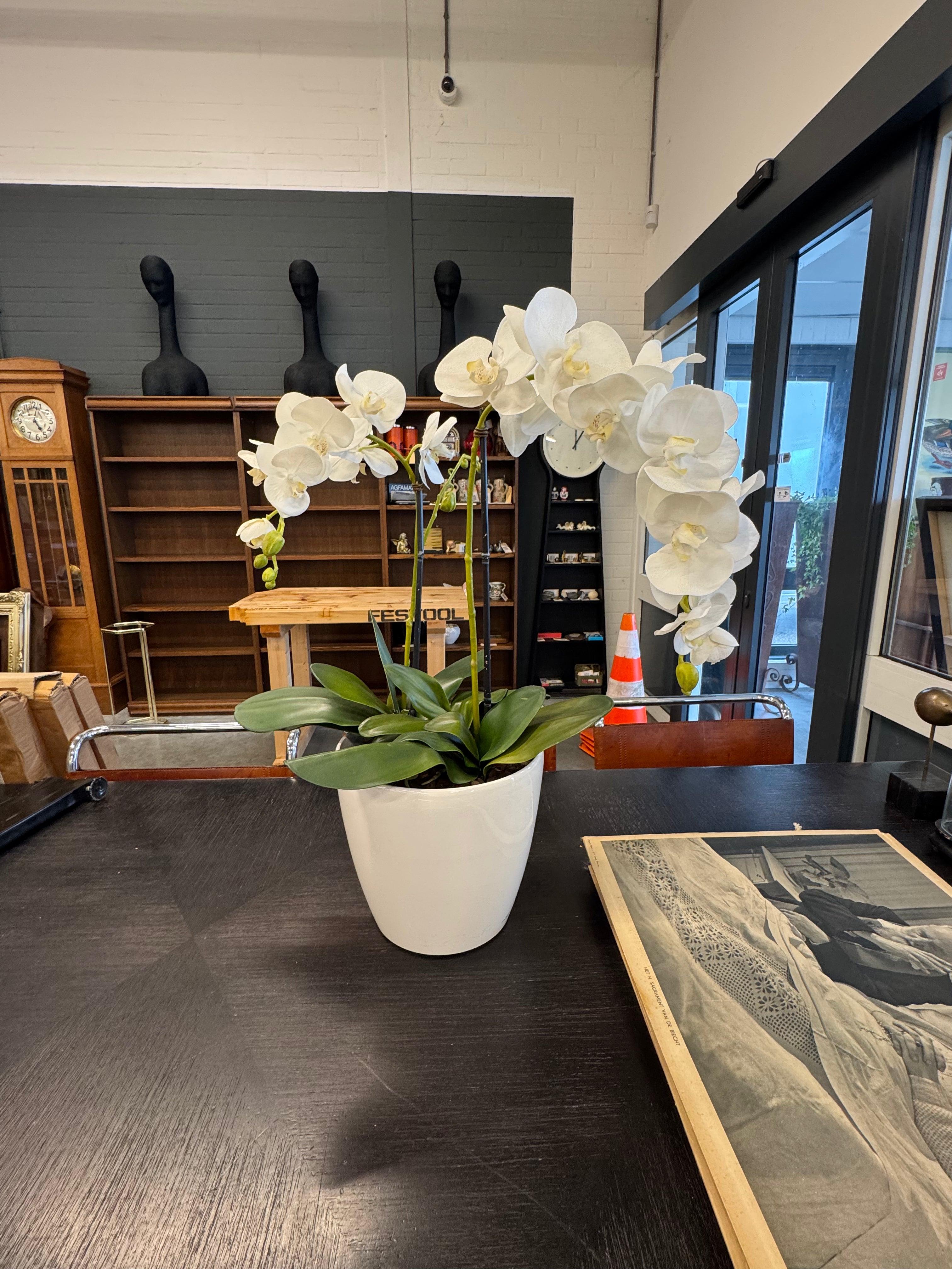 Grote bloempot met kunst orchideeën