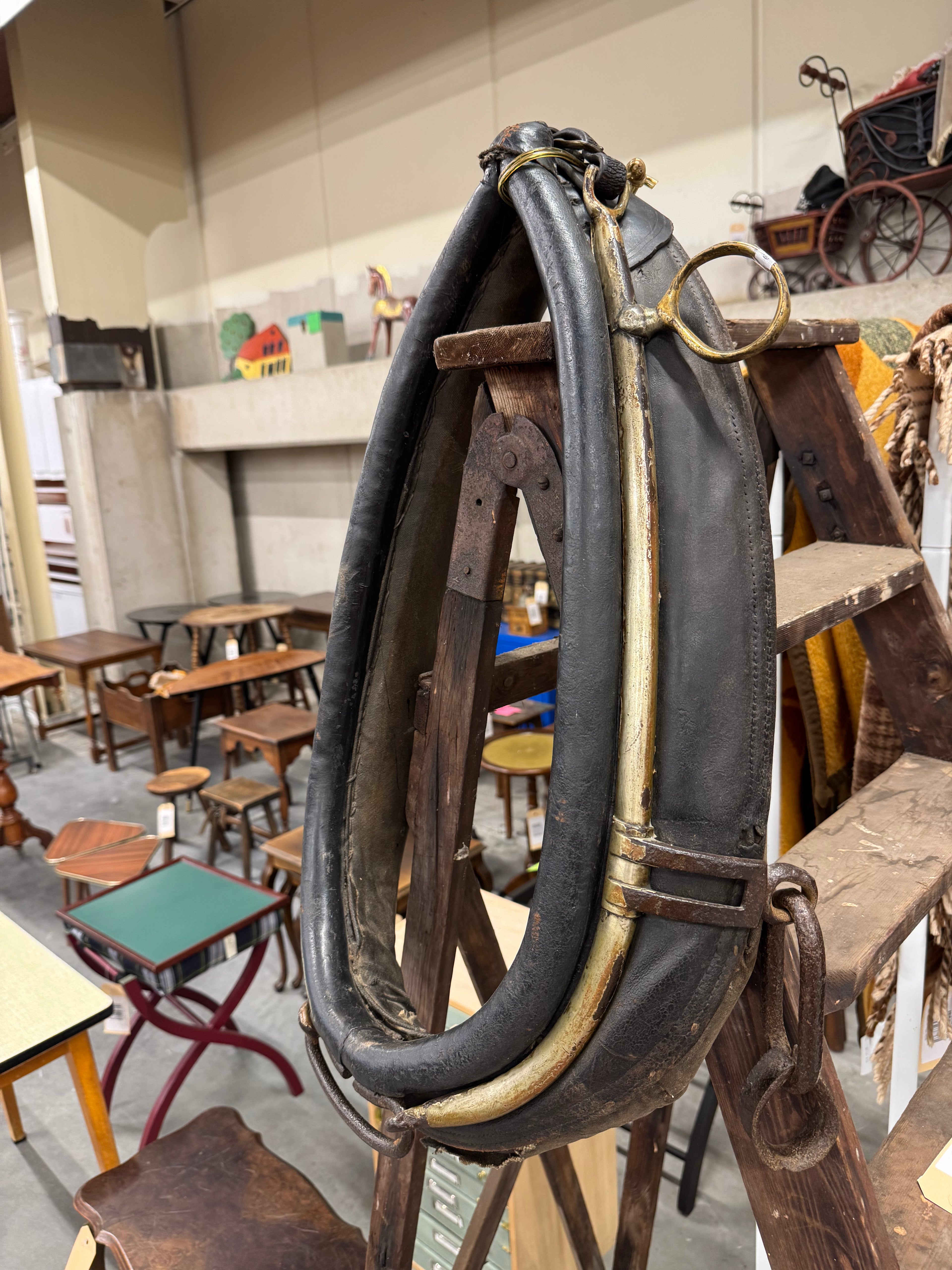 Paardentuig decoratief