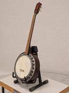Salterio 4-snarige banjo