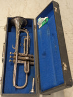 Vintage Bes-trompet, Tsjechoslowakije, in koffer