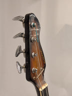 Echo basgitaar, jaren 70