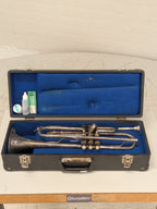 Vintage Bes-trompet, Tsjechoslowakije, in koffer