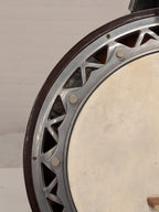 Salterio 4-snarige banjo
