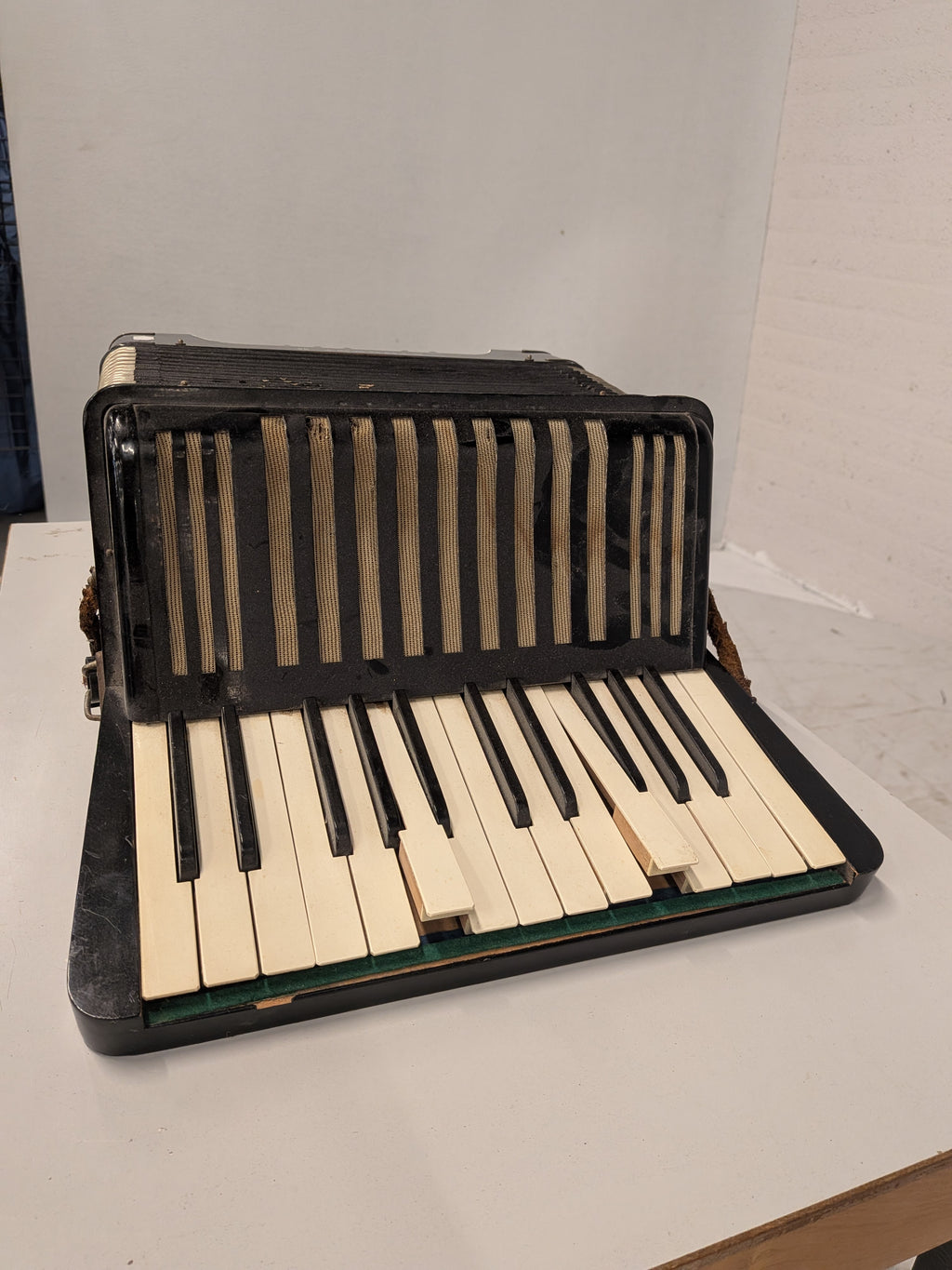 Hohner Student II accordeon
