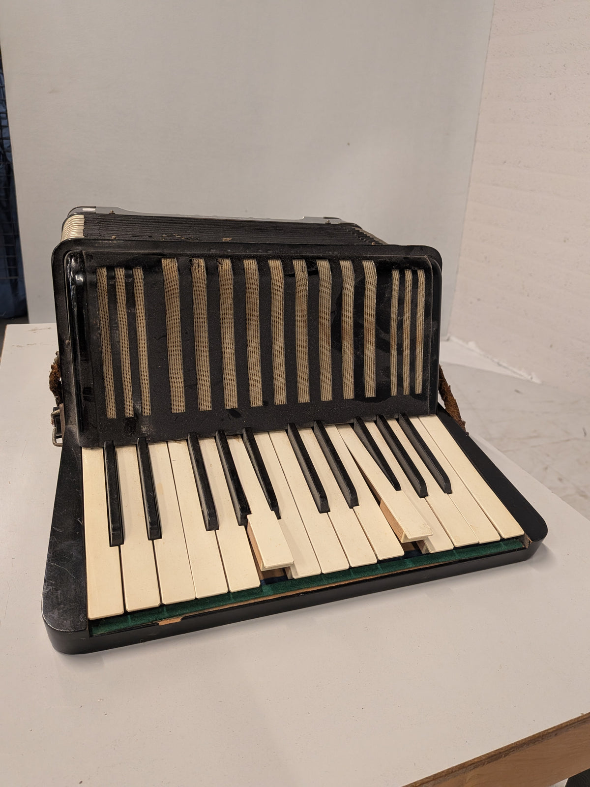 Hohner Student II accordeon