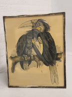 Litho van vogelpaar