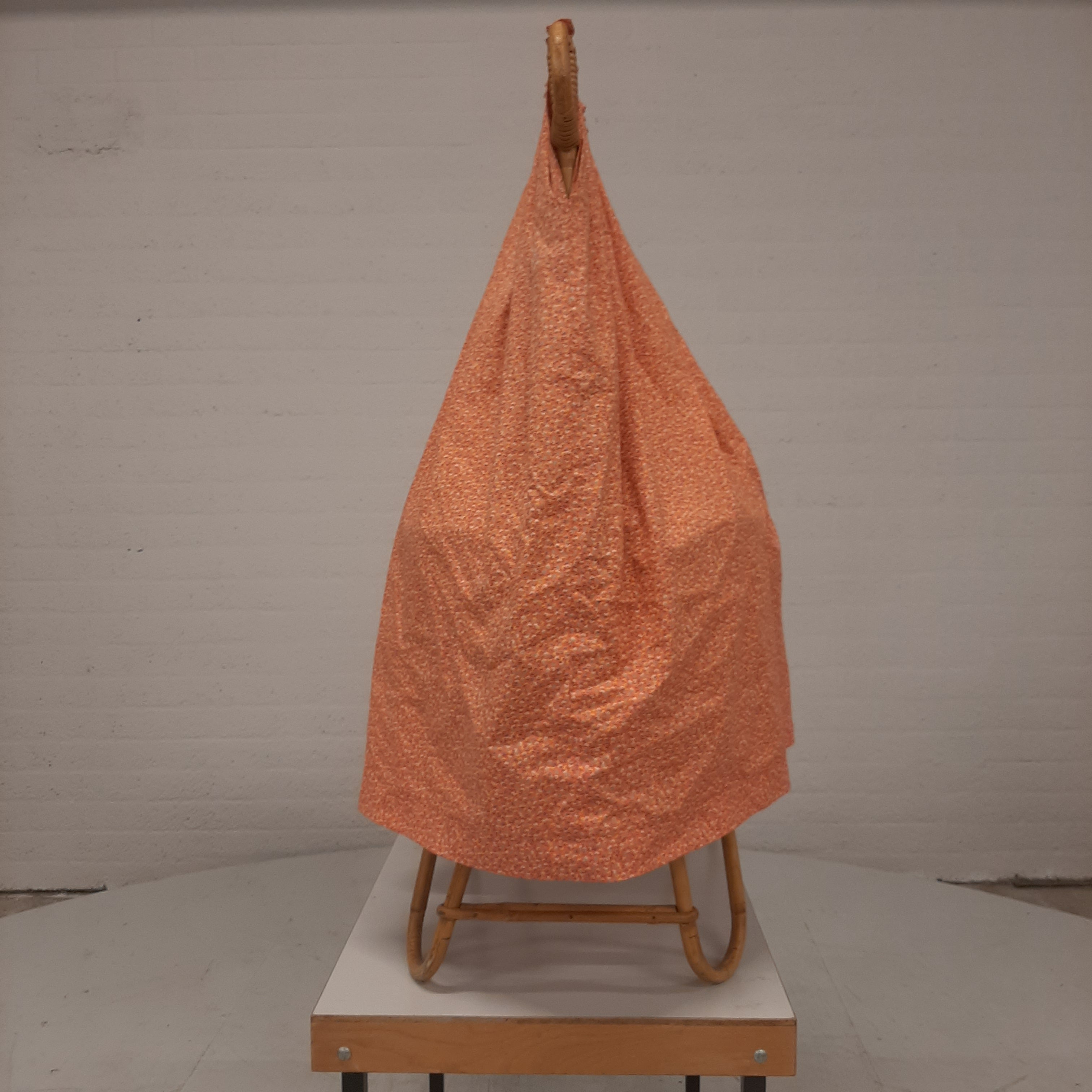 Rotan wieg met hemeltje