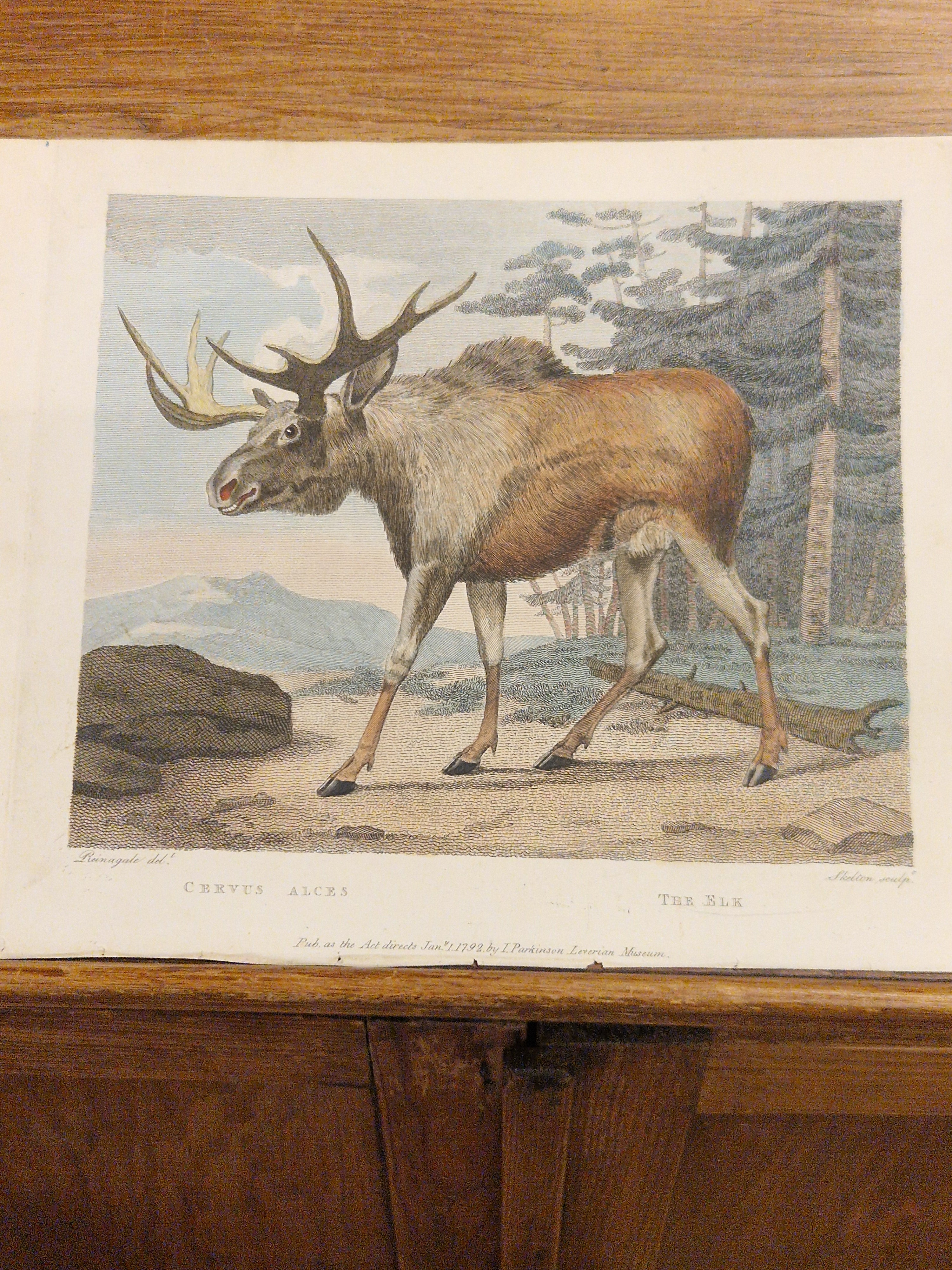 Ingekleurde kopergravure, 1792