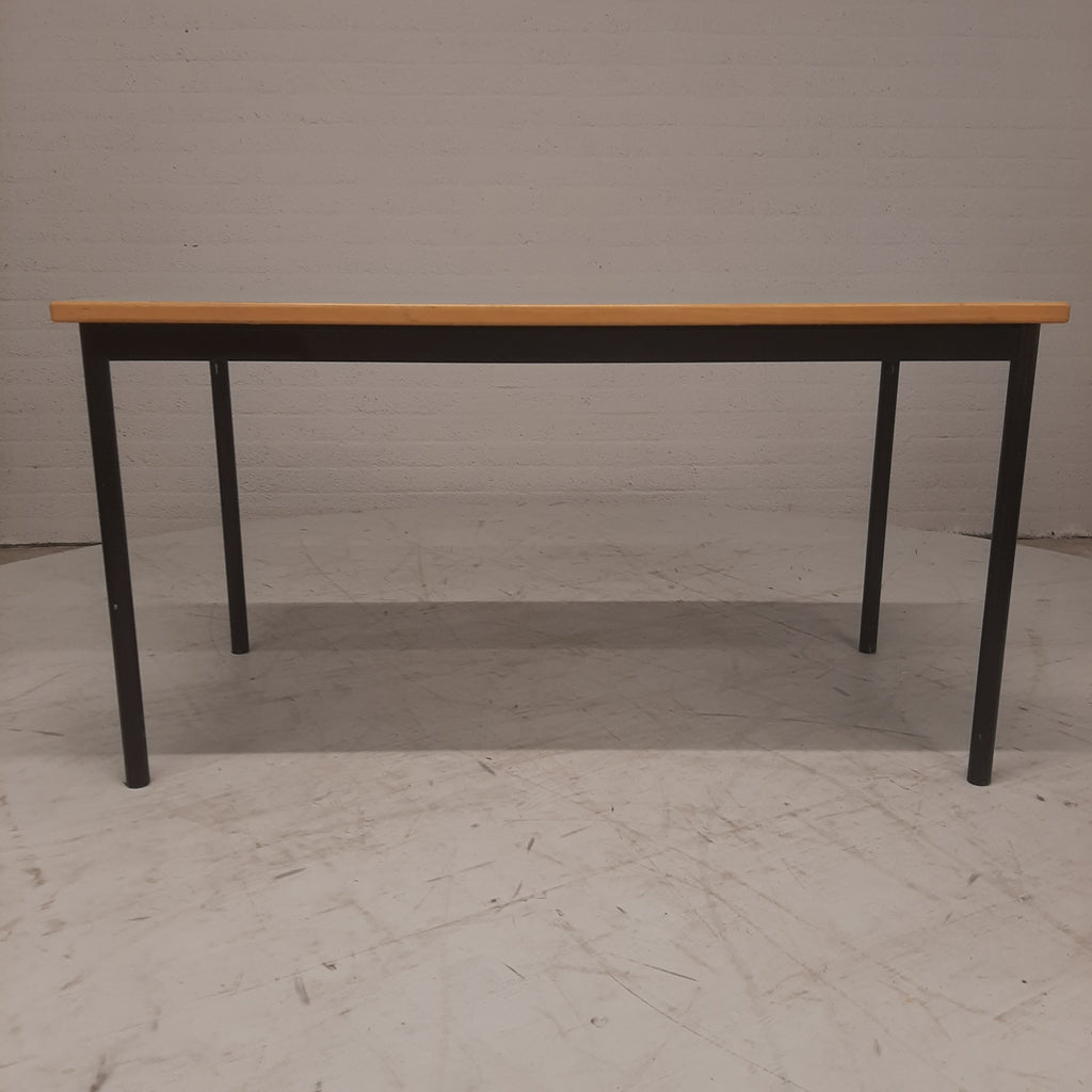 Eettafel / vergadertafel mintgroen blad