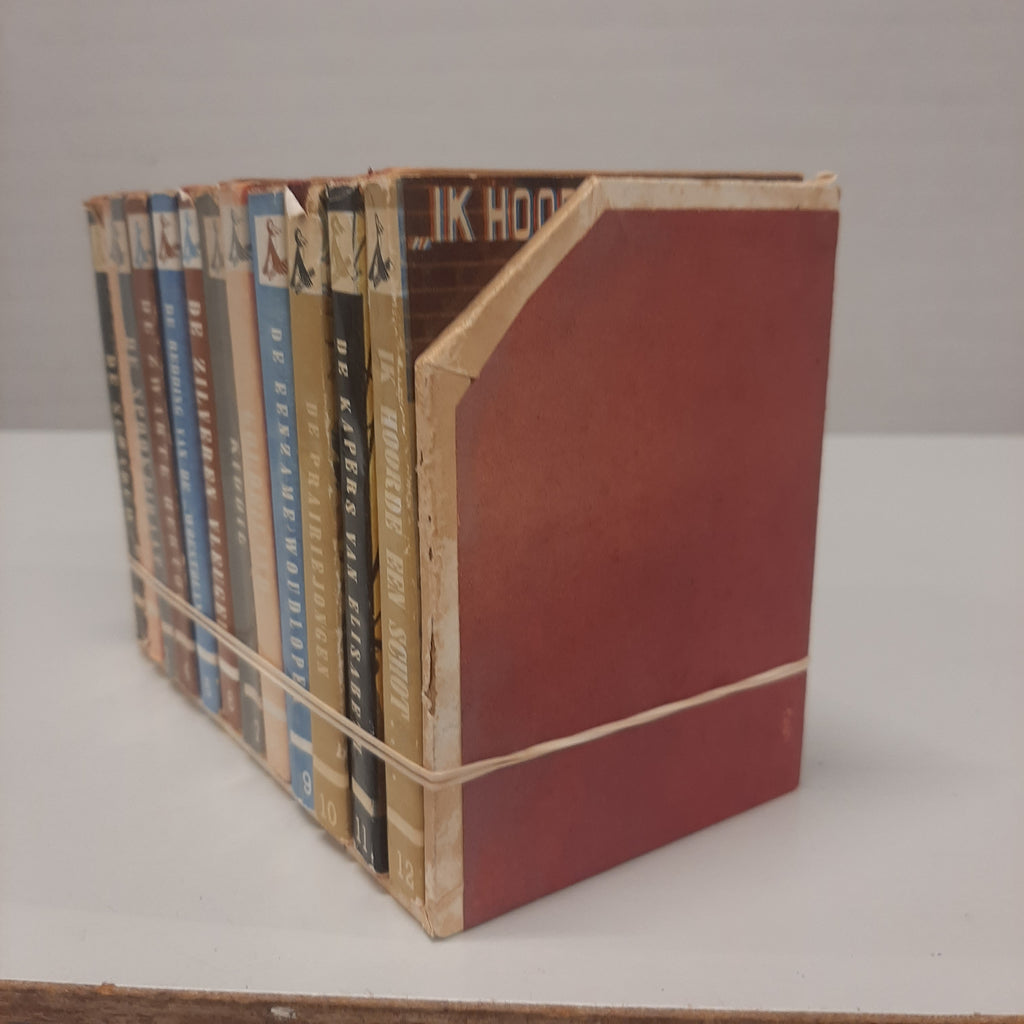 Set van 12 Junior-Jongensboeken-serie