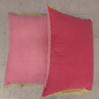 Set van twee roze kussens