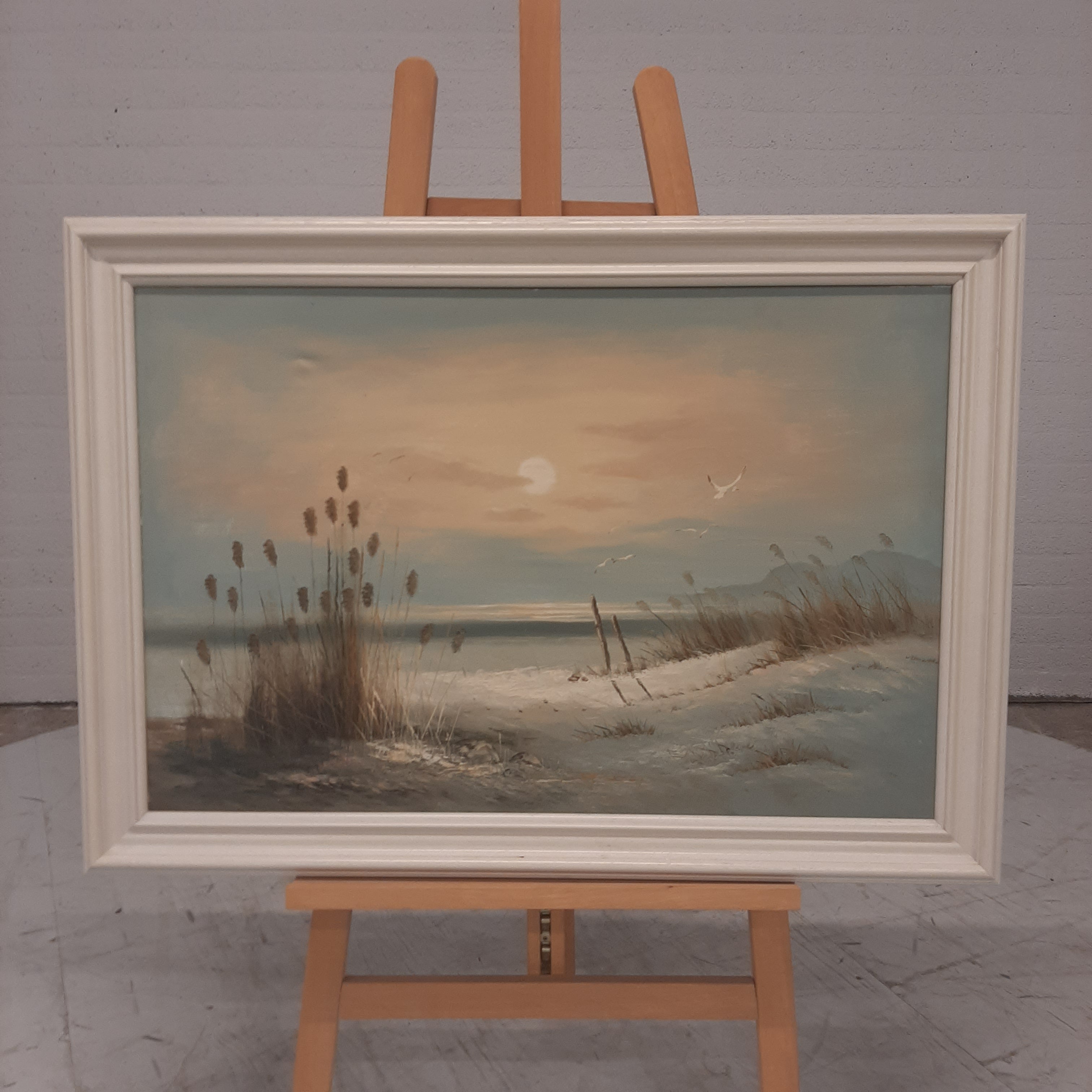 Duin / zee landschap