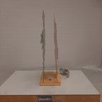 Qazqa tafel silhouettes lamp