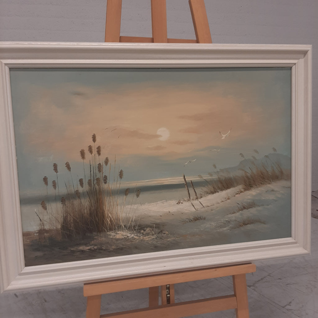 Duin / zee landschap