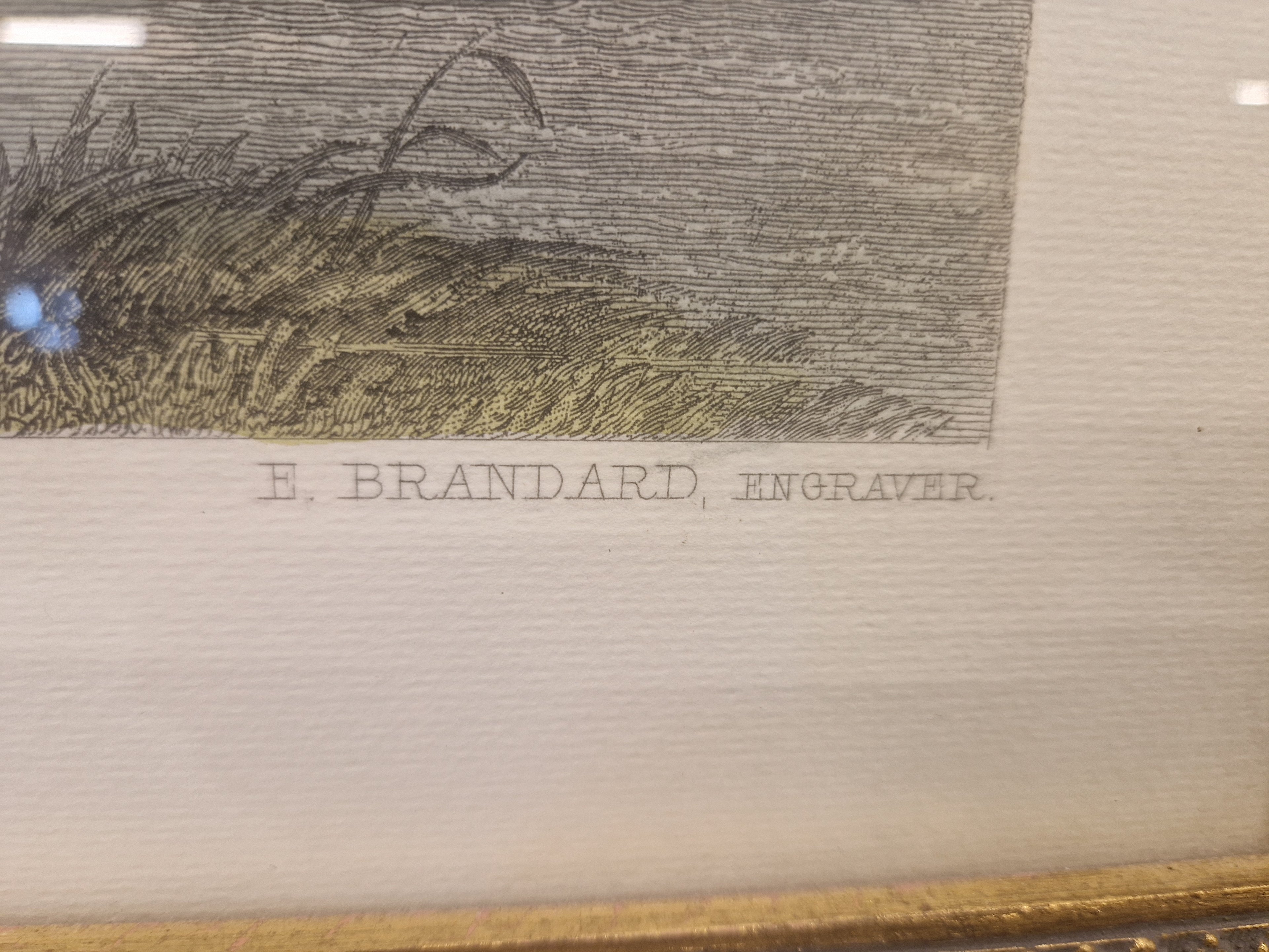 Gravure Windsor Castle door E Brandard