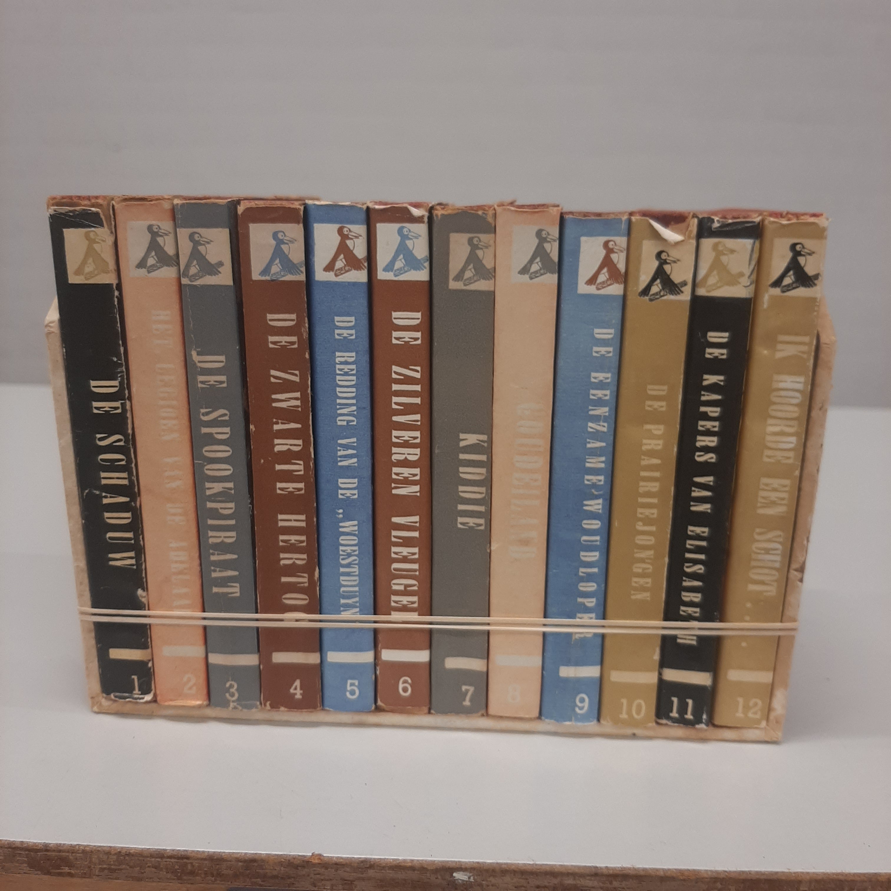 Set van 12 Junior-Jongensboeken-serie