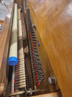 19e eeuwse piano, zeer decoratief